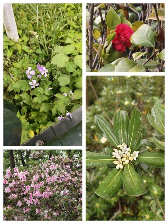 13BC765F458861B7F14D2C9E5FBE0393 13BC765F458861B7F14D2C9E5FBE0393